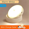 USB Rechargeable LED Motion Light