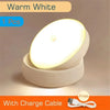 USB Rechargeable LED Motion Light