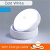 USB Rechargeable LED Motion Light